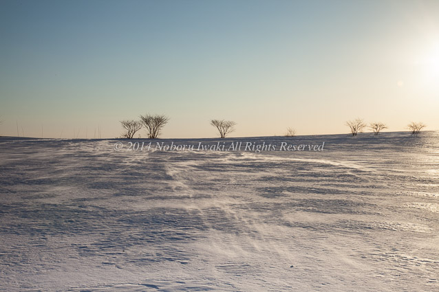 雪原の疾風/2013