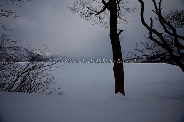 2012十和田湖全面凍結
